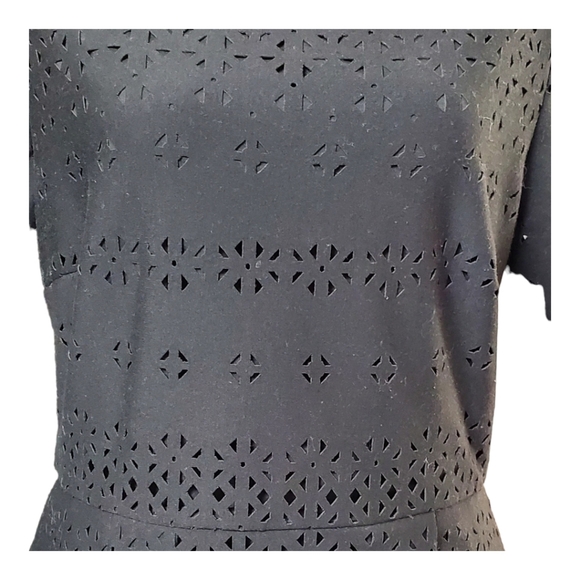 NWOT - Banana Republic Laser Cut Fit & Flare Dress - Picture 2 of 6